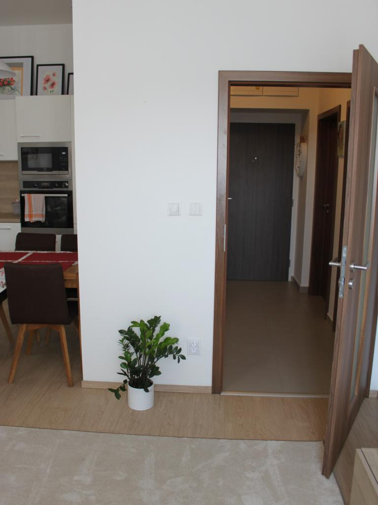 Pronajem bytu 2+kk 54 m2