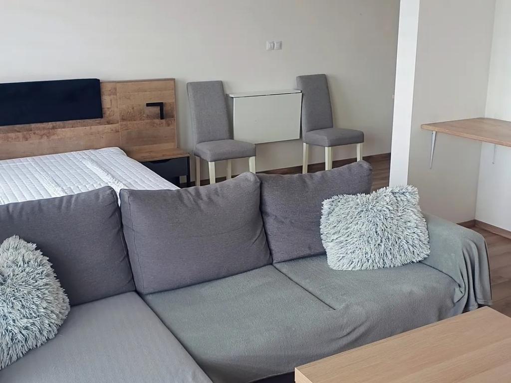 Pronájem bytu 1+kk 42 m2