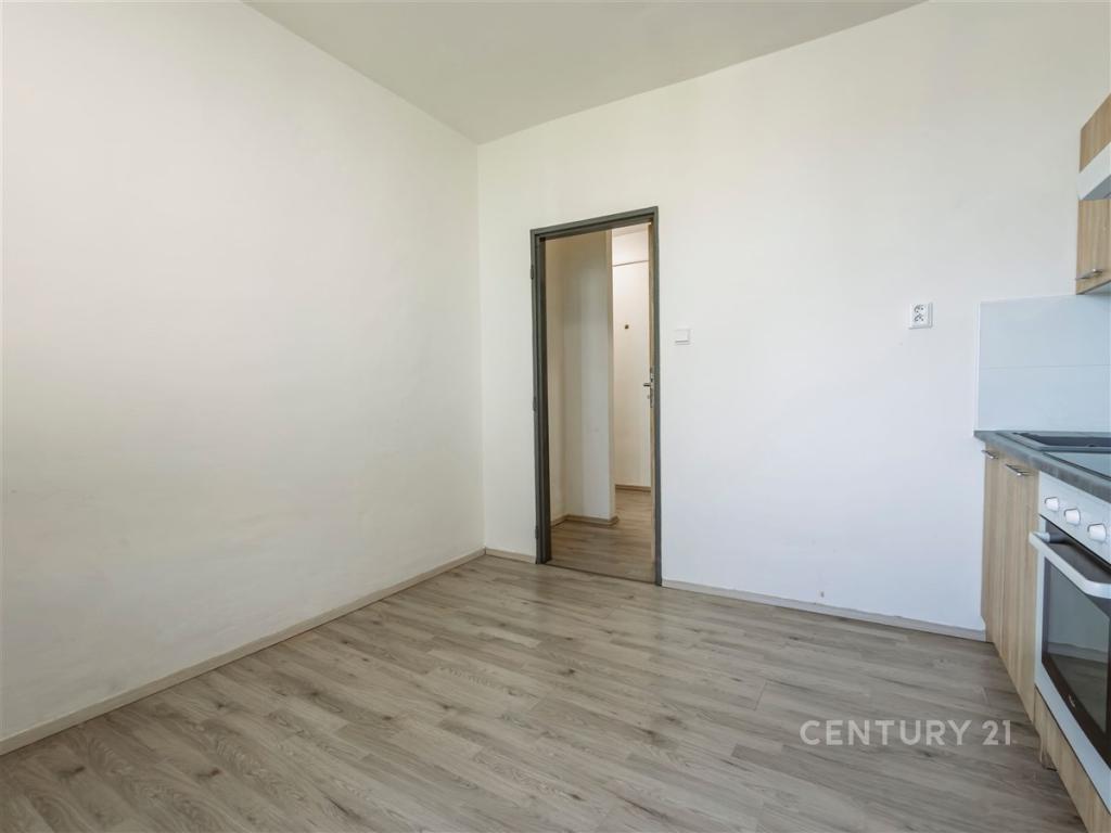 Pronájem bytu 1+1 40 m2