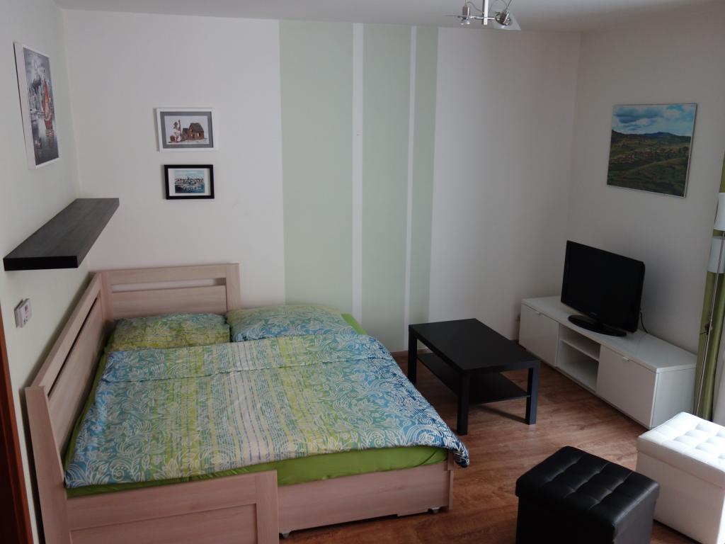 Pronájem bytu 1+kk 42 m2
