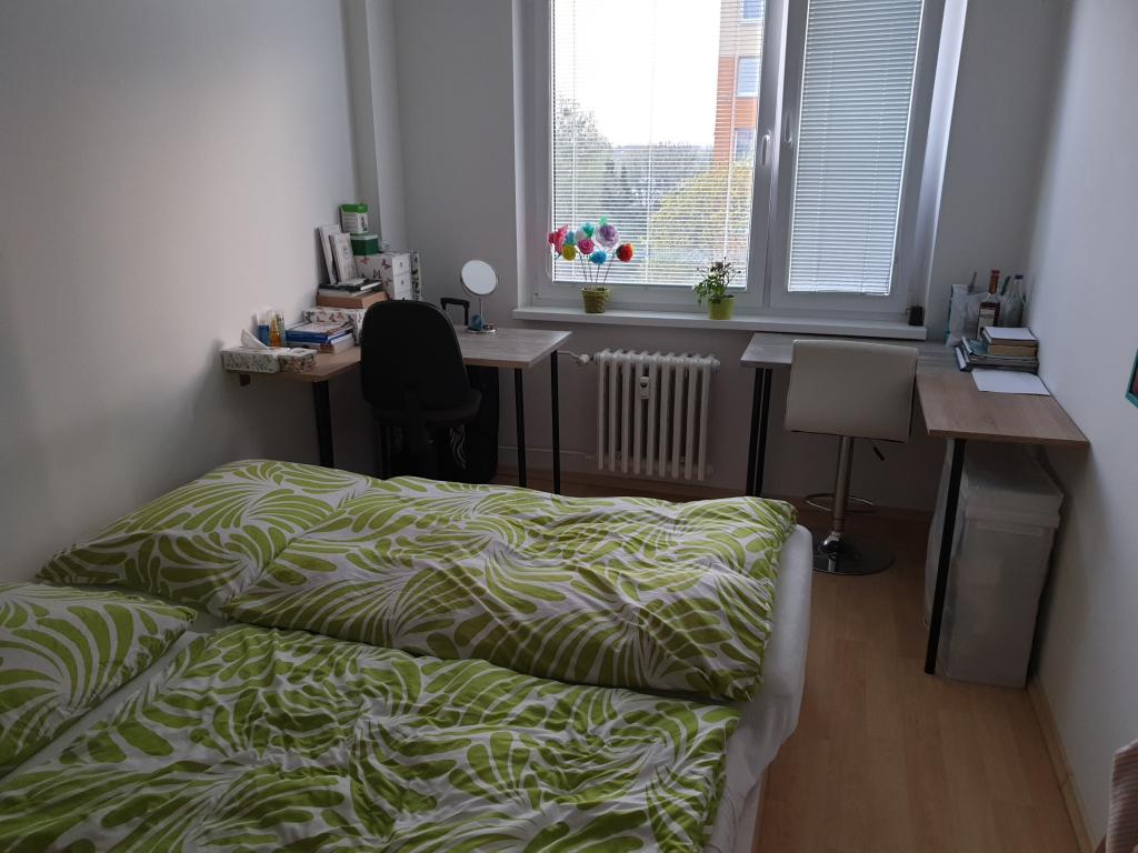 Spolubydleni bytu celý pokoj 15 m2