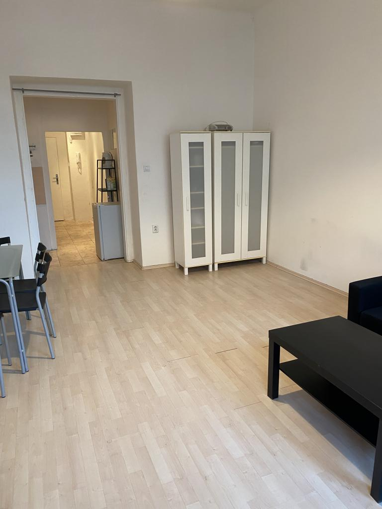 Pronájem bytu 1+1 44 m2