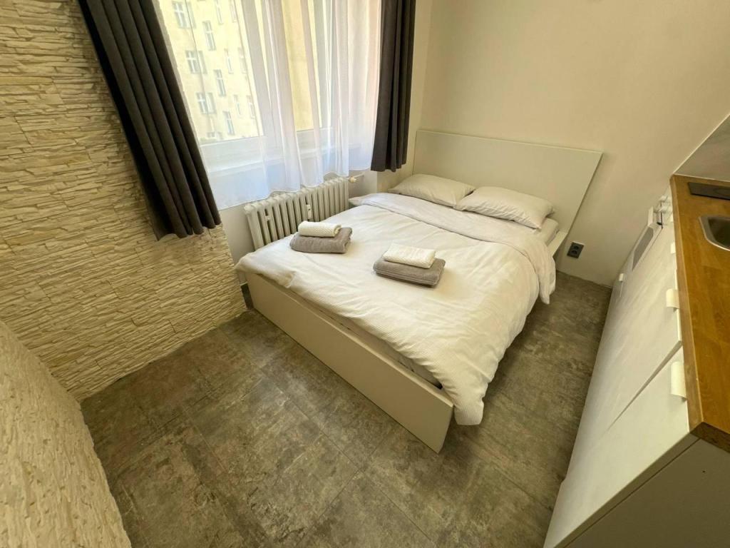 Pronájem bytu 1+kk 15 m2