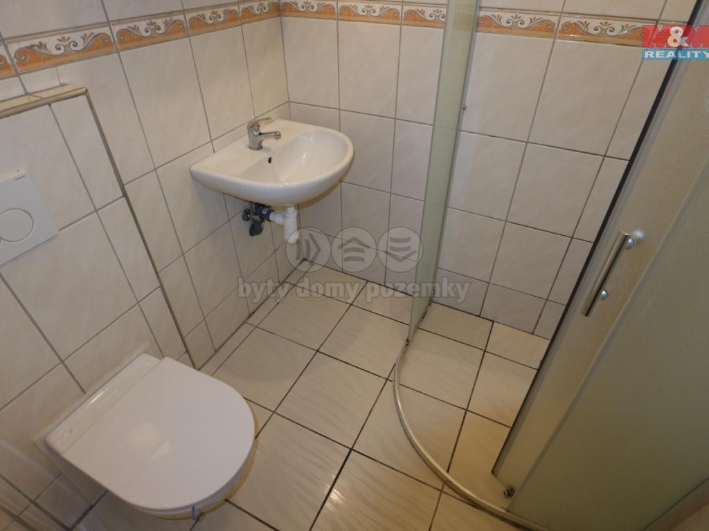 Pronajem bytu 1+kk 28 m2