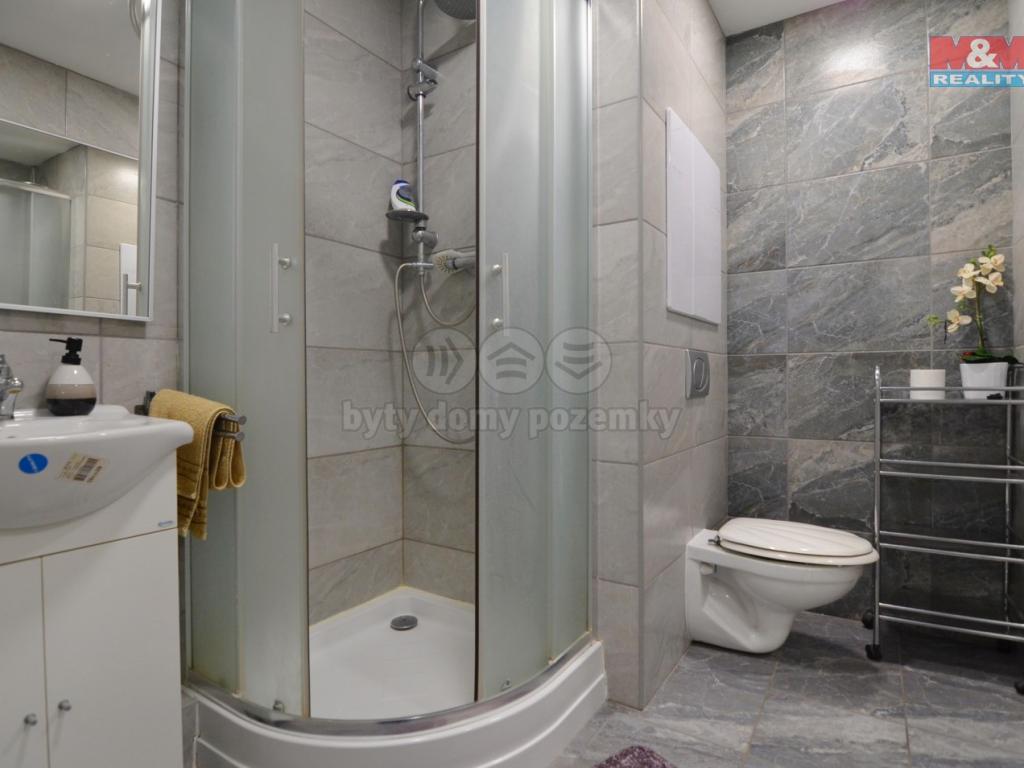 Pronajem bytu 1+kk 36 m2