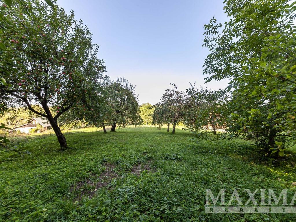 Prodej pozemku 3738 m2, Hrubá Skála – náhled fotky 10