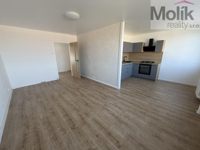 Pronájem bytu 3+1 62 m2