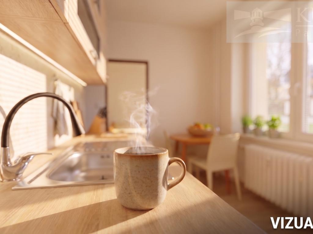 Pronájem bytu 2+1 52 m2
