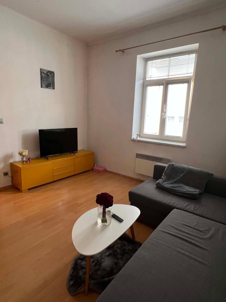 Pronájem bytu 1+1 33 m2