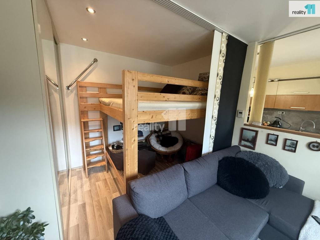 Pronájem bytu 1+kk 33 m2