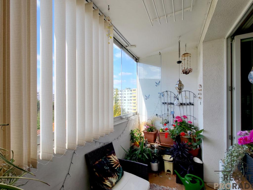 Prodej bytu 3+1 66 m2