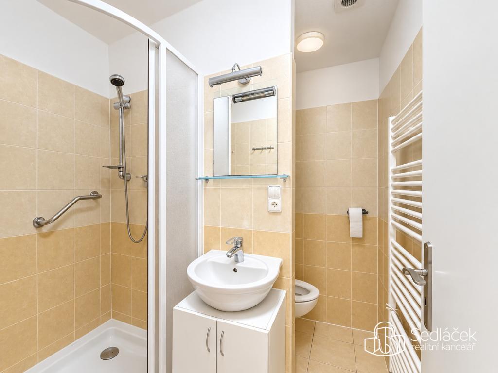 Pronájem bytu 1+1 35 m2