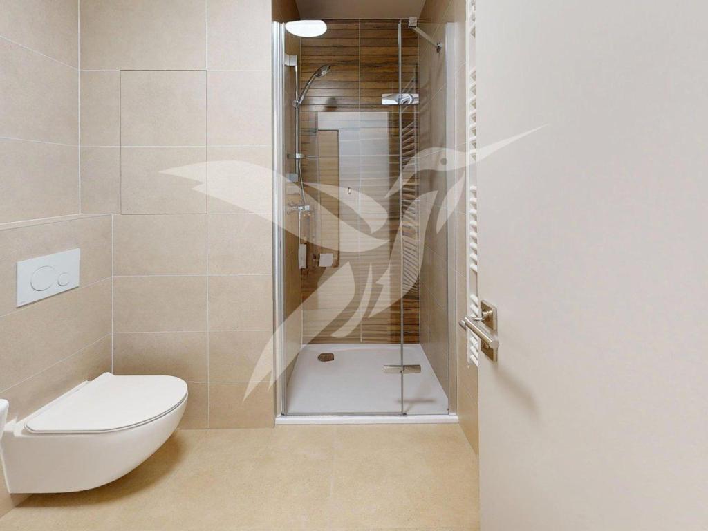 Pronájem bytu 1+kk 30 m2, Plzeň – náhled fotky 3