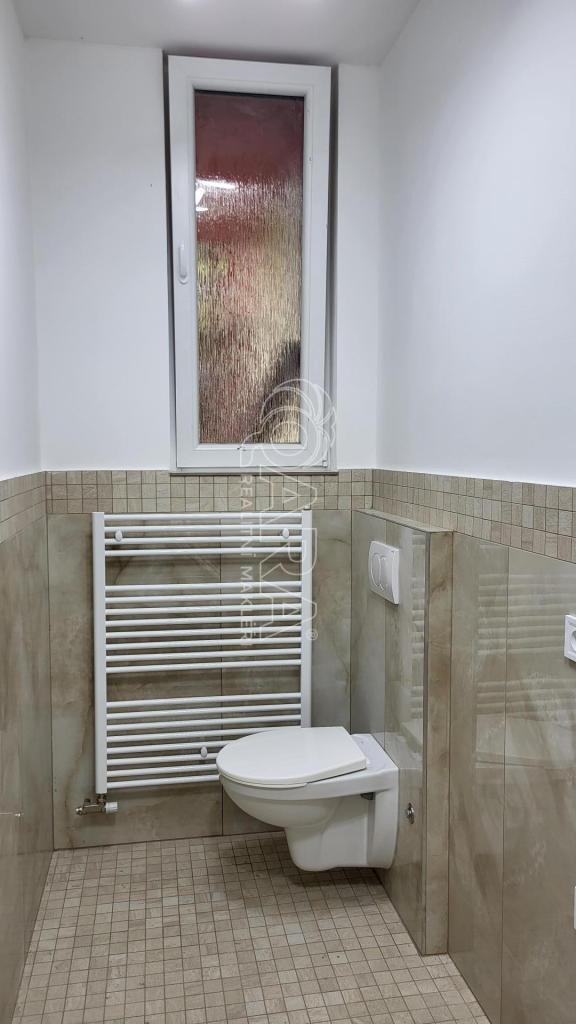 Pronájem bytu 1+kk 30 m2, Přerov nad Labem – náhled fotky 11