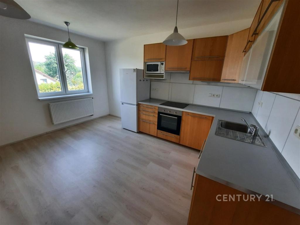 Pronájem bytu 1+1 59 m2