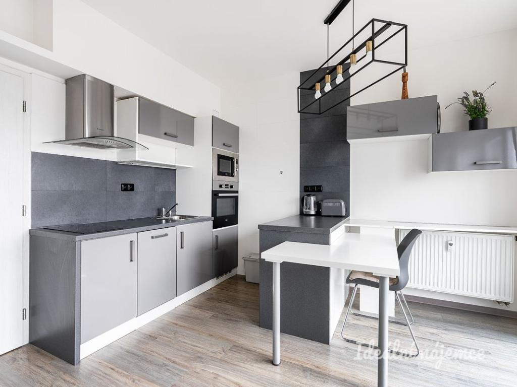 Pronájem bytu 1+kk 40 m2