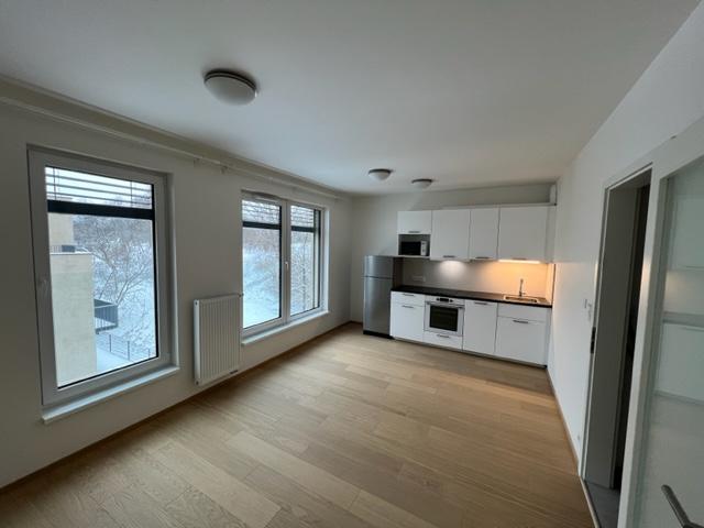Pronajem bytu 1+kk 31 m2