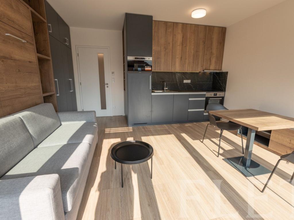 Pronájem bytu 1+kk 34 m2