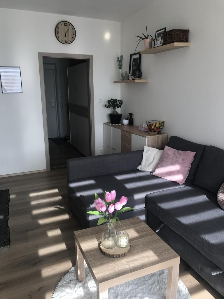 Pronájem bytu 1+kk 30 m2