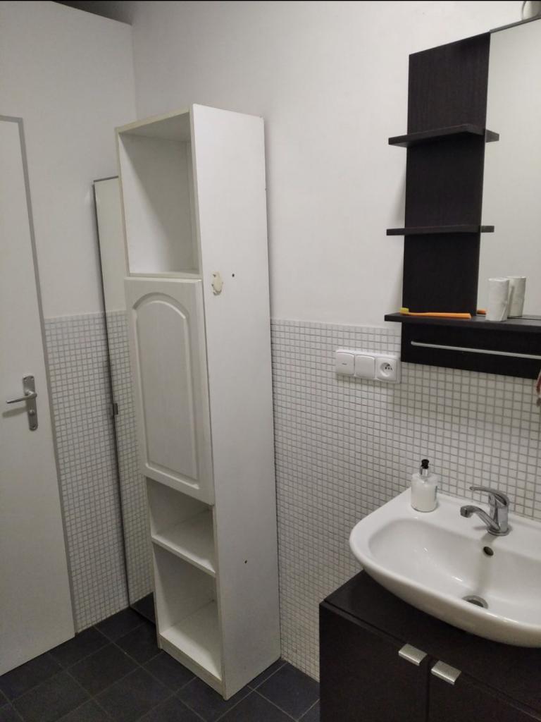 Pronajem bytu 1+1 39 m2