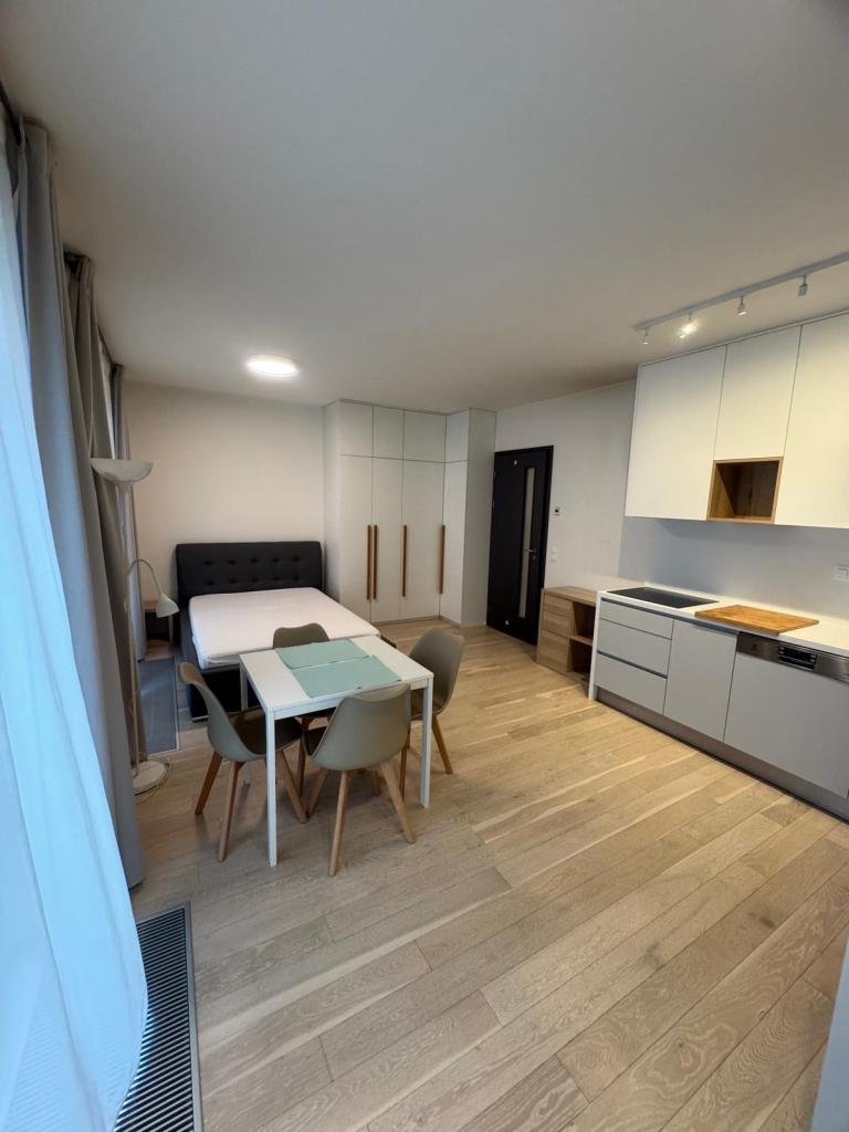 Pronájem bytu 1+kk 36 m2