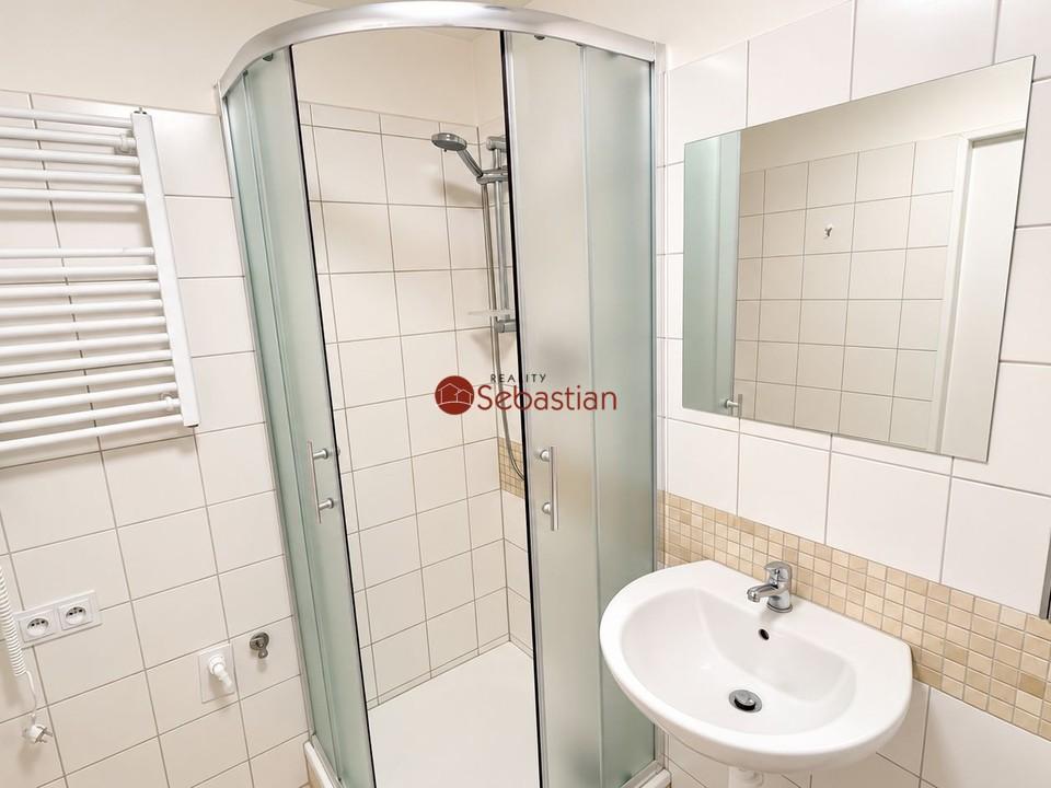 Pronájem bytu 1+1 41 m2