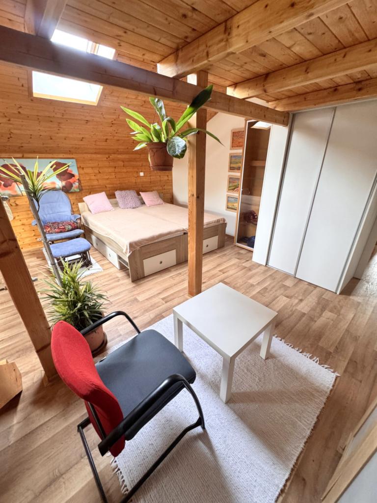 Pronájem bytu 1+1 46 m2