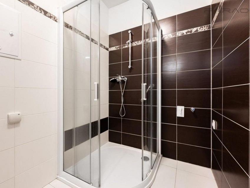 Pronájem bytu 1+kk 45 m2