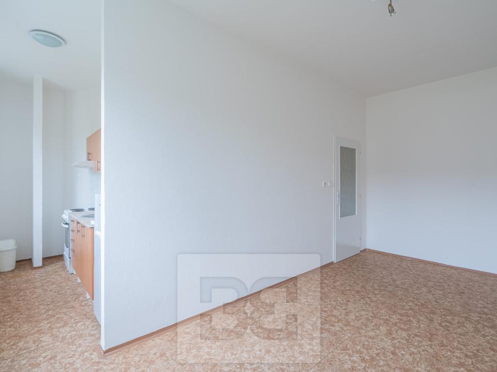 Pronájem bytu 1+kk 30 m2