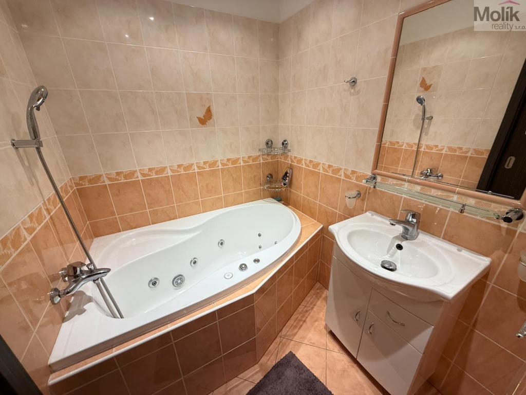 Pronájem bytu 2+1 50 m2