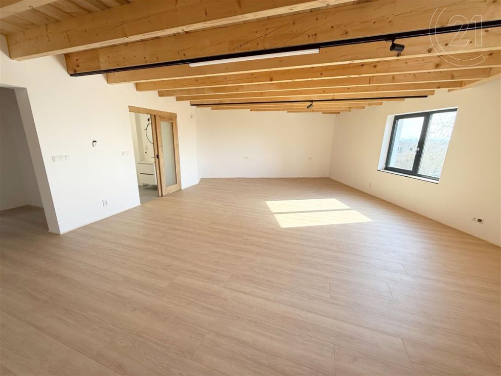 Pronájem bytu 1+kk 53 m2
