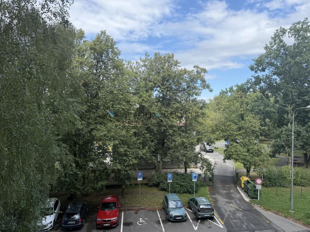 Pronájem bytu 3+1 74 m2, Ostrava – náhled fotky 17