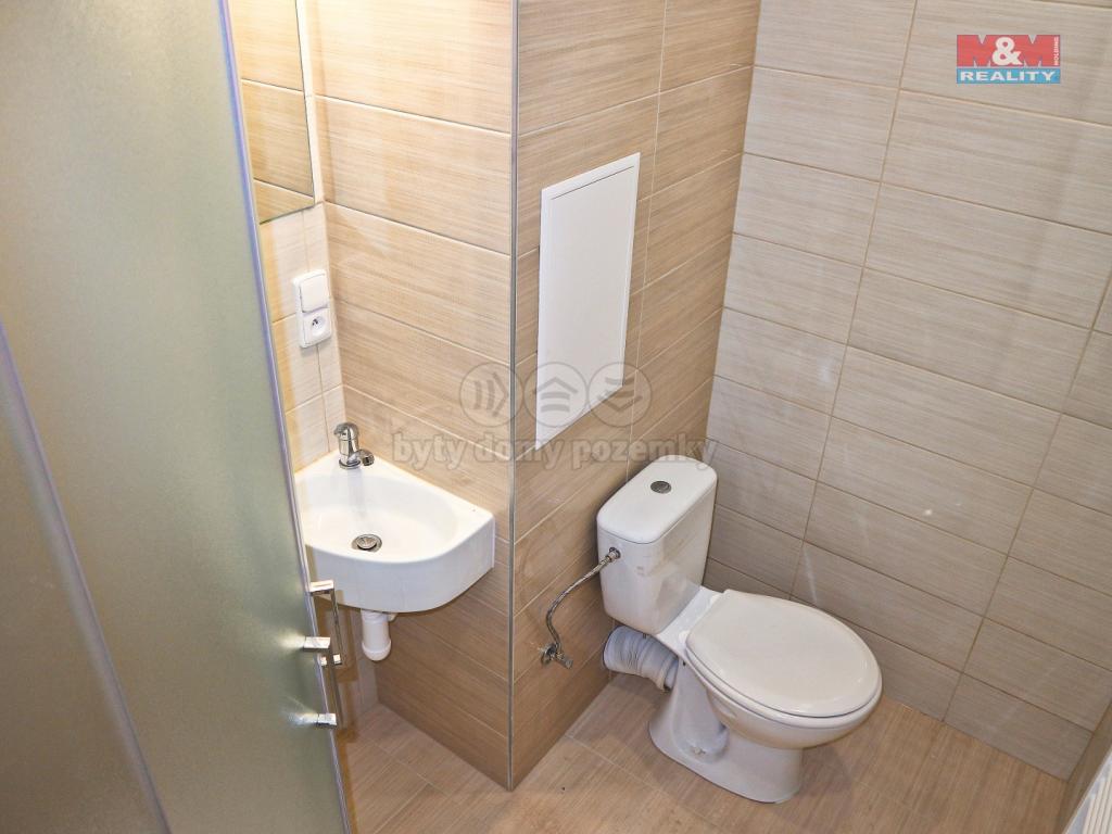 Pronajem bytu 1+1 40 m2
