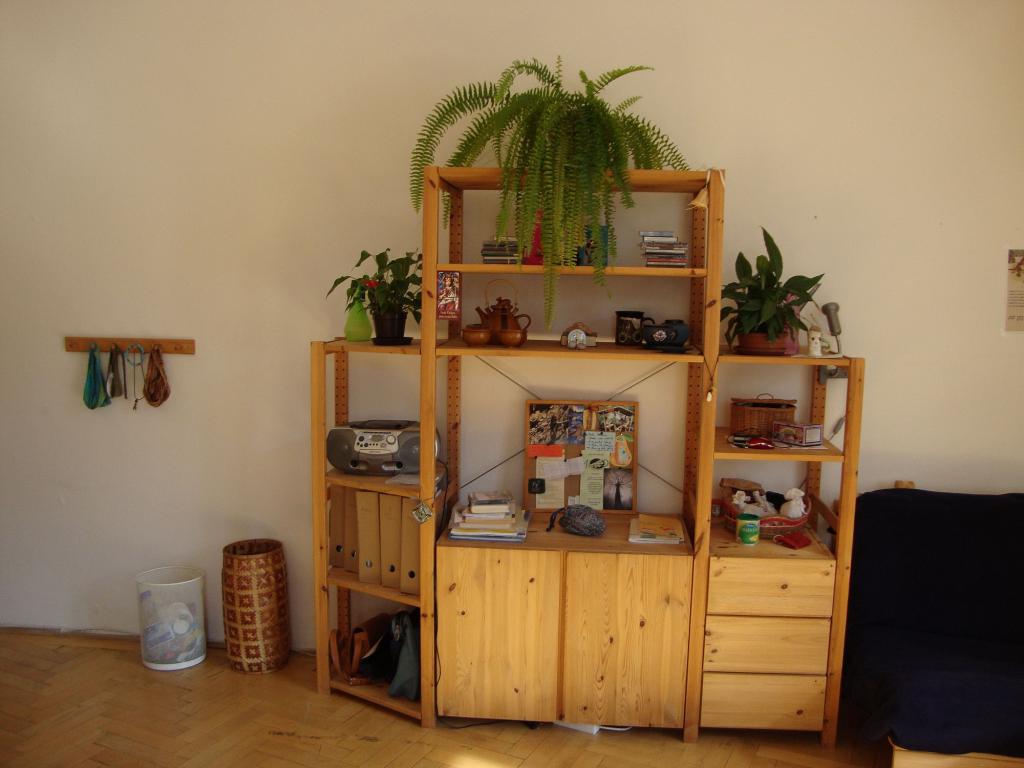 Spolubydleni bytu celý pokoj 110 m2