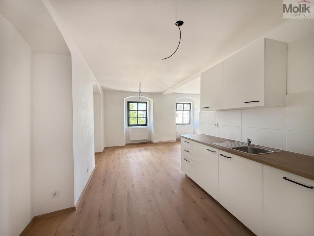 Pronájem bytu 3+kk 48 m2