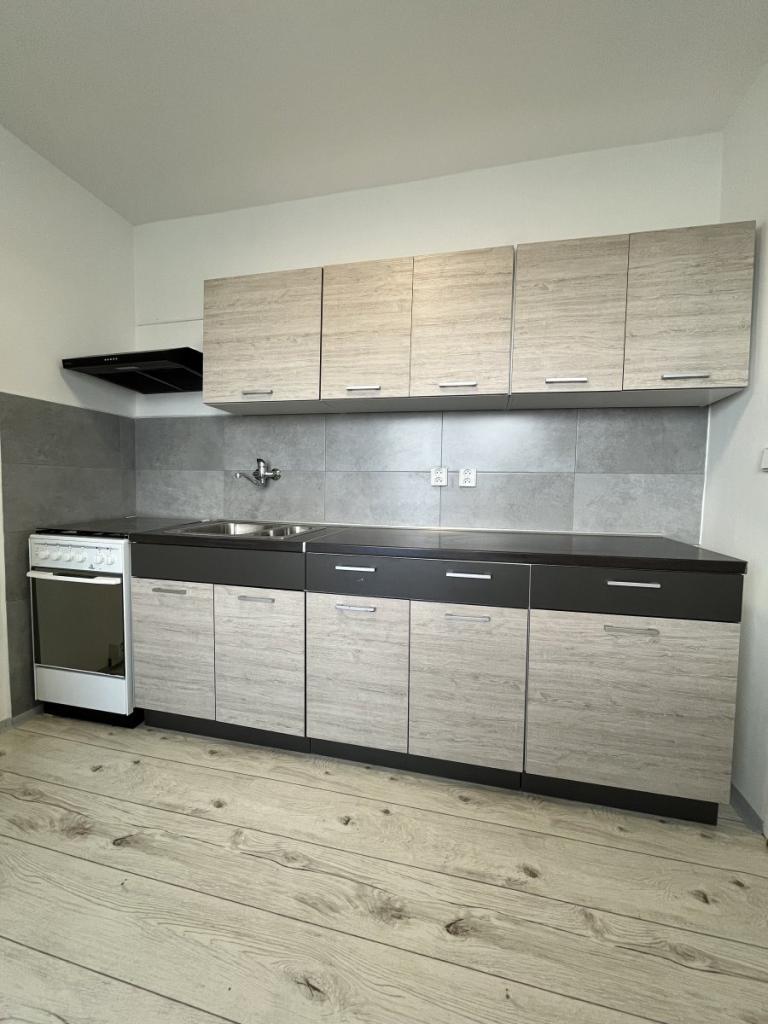 Pronájem bytu 2+1 55 m2
