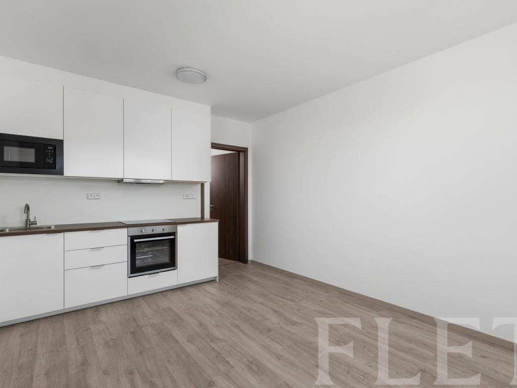 1-room apartment for rent · 30 m² · Praha — 618 €/mo