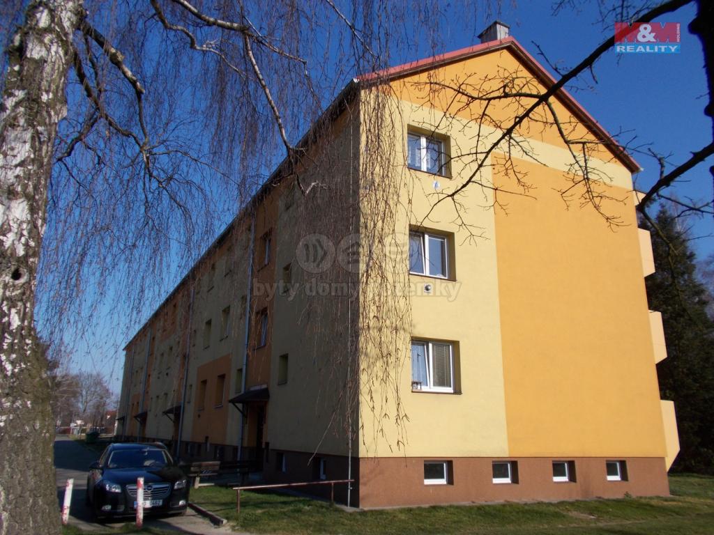 Pronajem bytu 1+1 45 m2