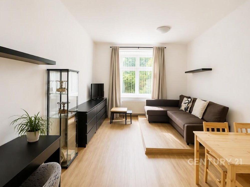Pronájem bytu 2+1 55 m2