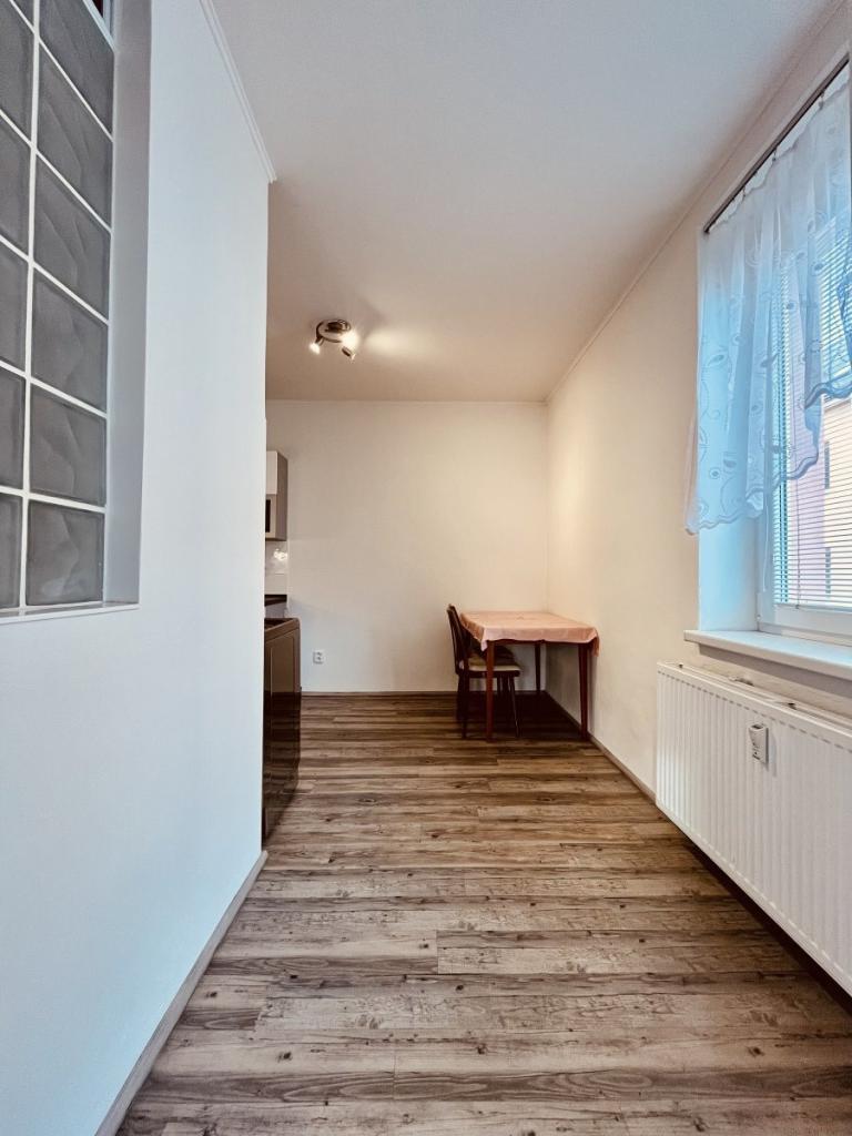 Pronájem bytu 1+1 40 m2