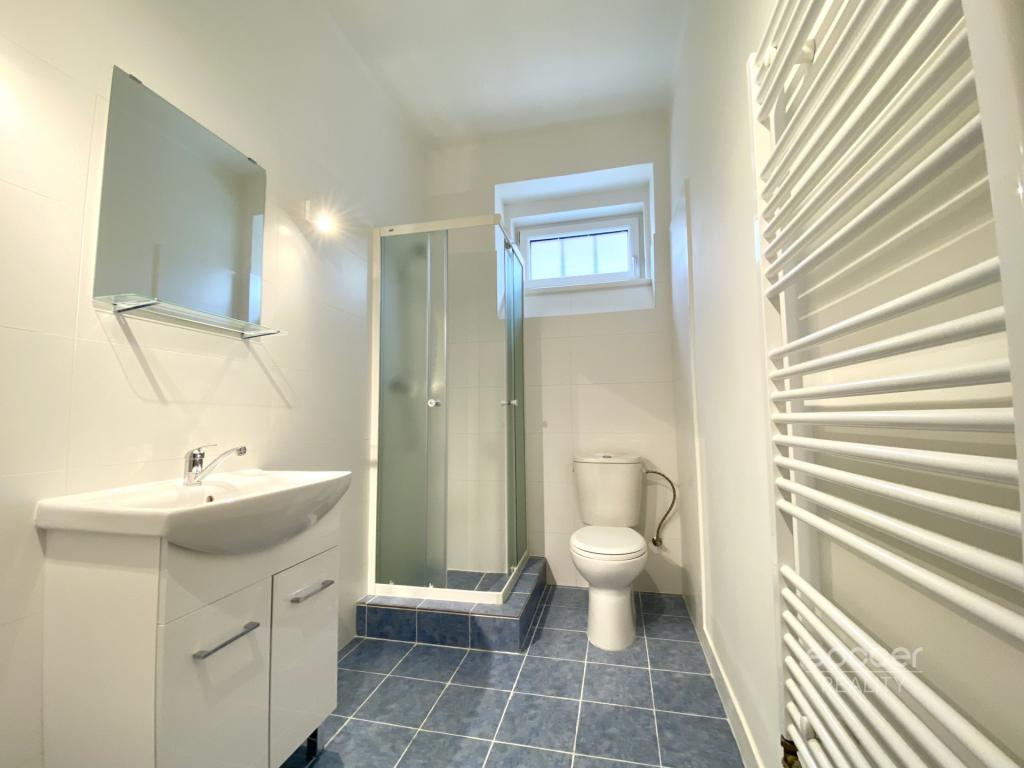 Pronájem bytu 1+1 51 m2