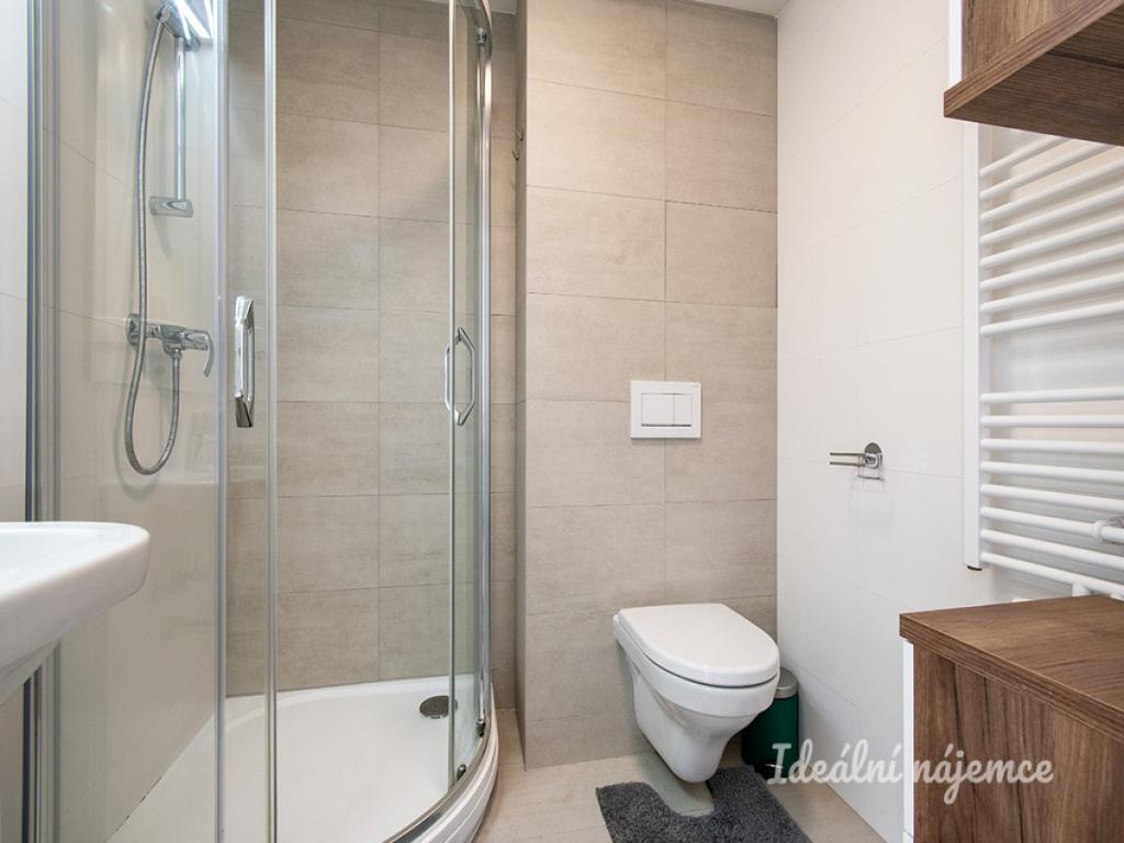 Pronájem bytu 2+kk 30 m2