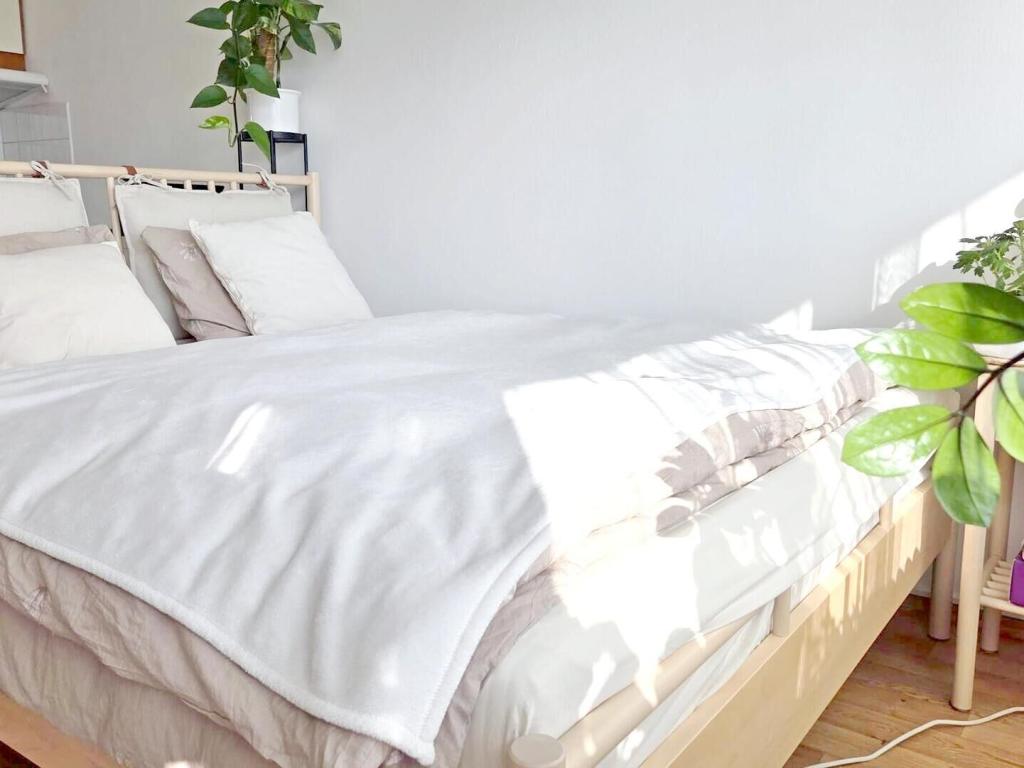 Pronájem bytu 1+kk 38 m2, Brno – náhled fotky 4