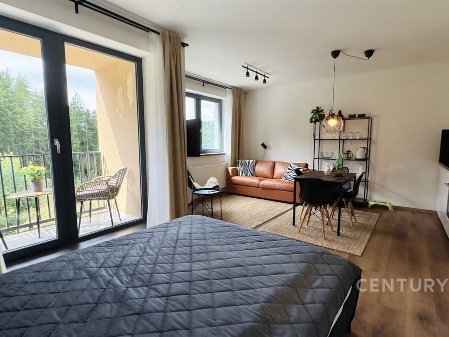 Pronájem bytu 1+kk 33 m2