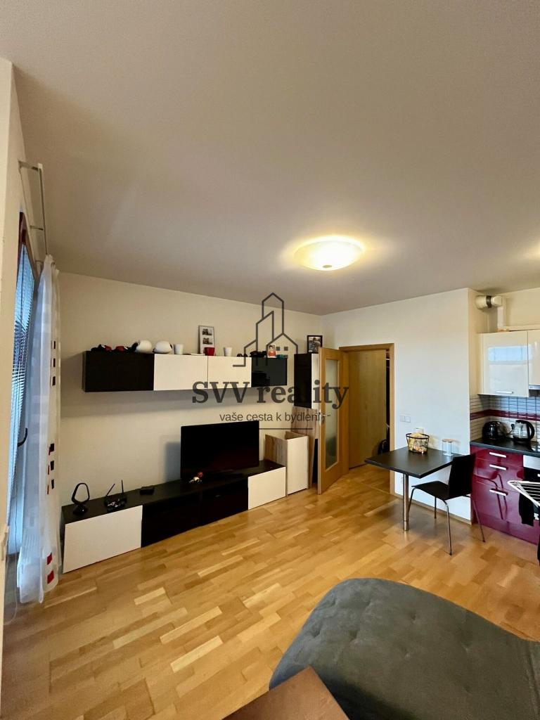 Pronájem bytu 1+kk 38 m2