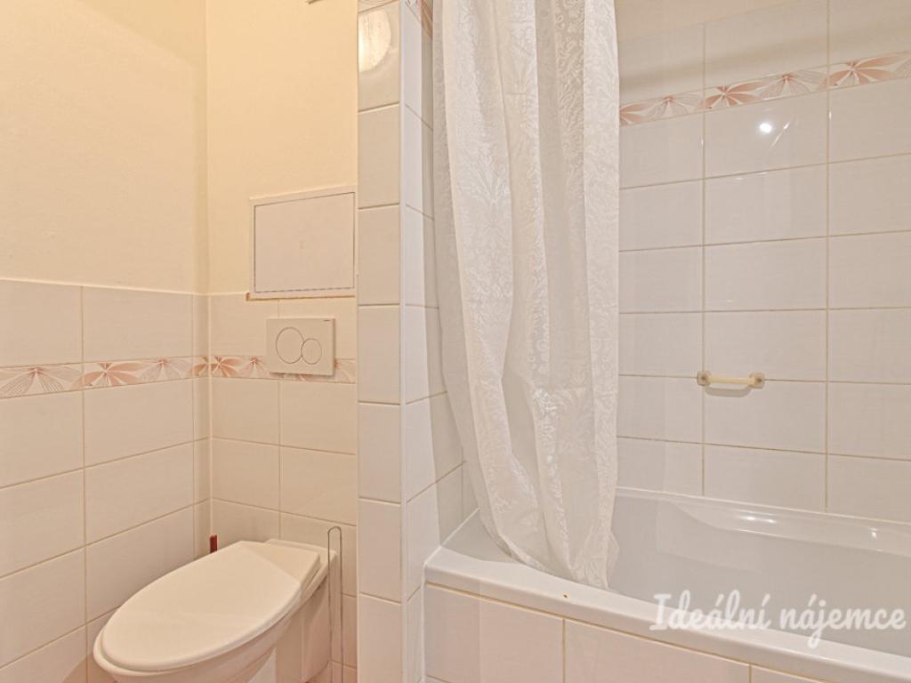 Pronájem bytu 1+1 29 m2