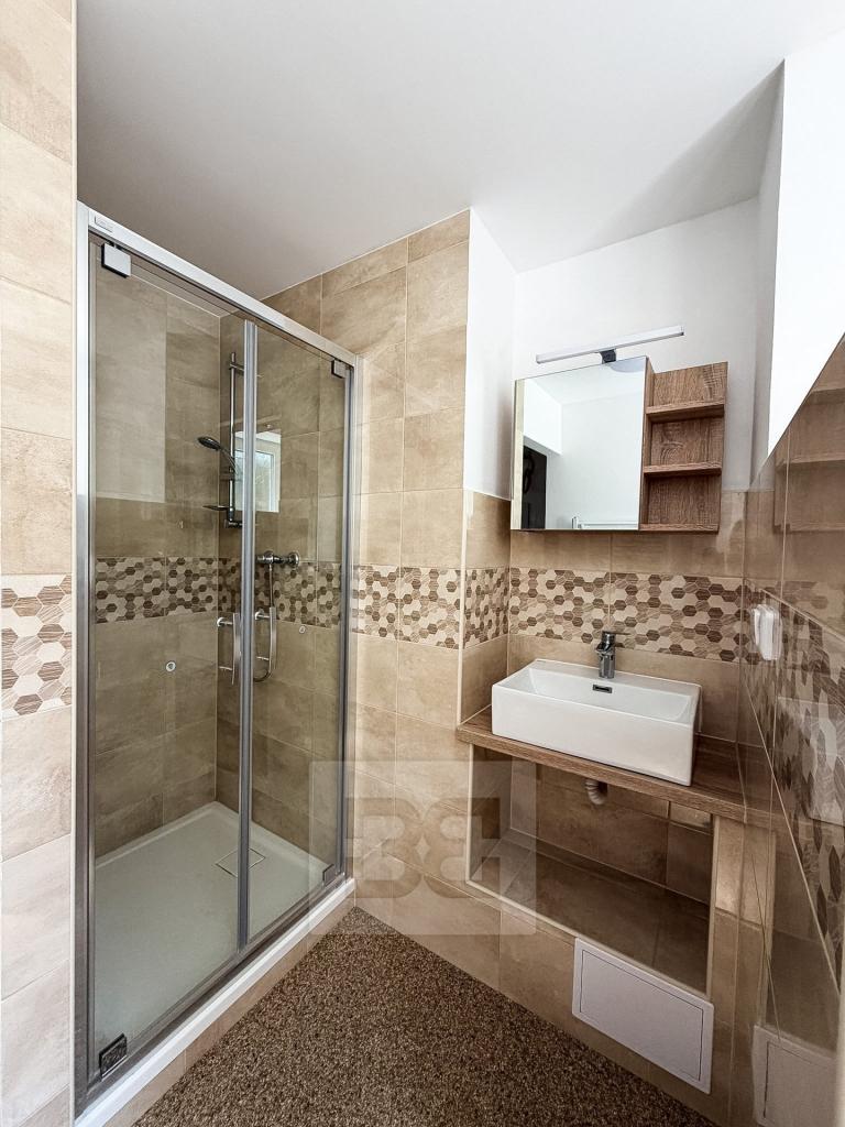 Pronájem bytu 2+1 50 m2