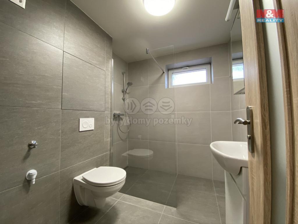 Pronajem bytu 2+1 50 m2