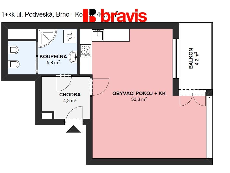 Pronájem bytu 1+kk 45 m2
