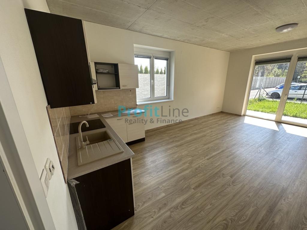 Pronajem bytu 1+kk 46 m2